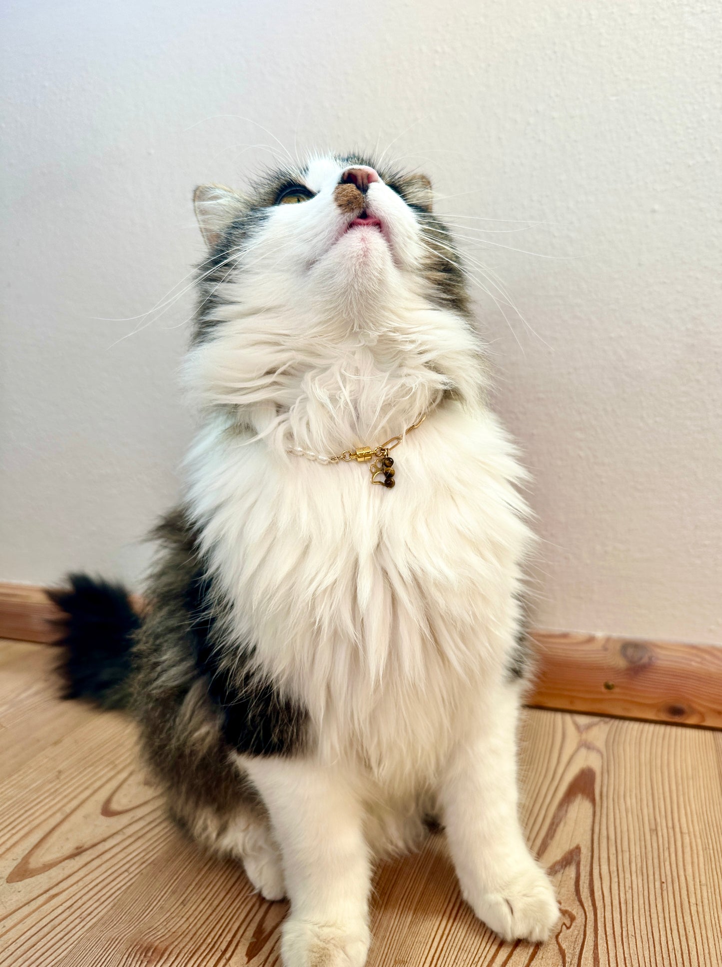 Halskette mit Süßwasserperle und Heilsteinen für Tiere / Schmuck für Tiere