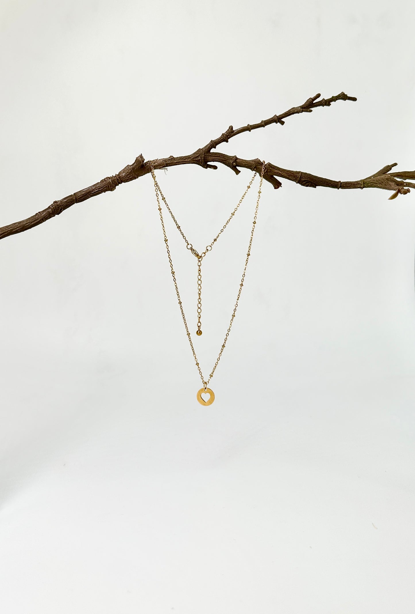 Fine chain with ring clasp and Heartcoin pendant